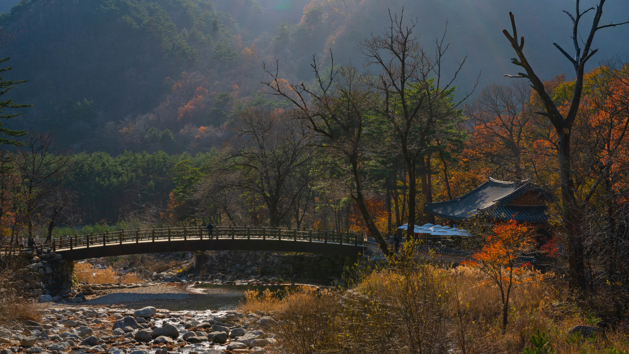 Mount Seorak and Naksansa Temple Day Tour - Photo 1 of 16